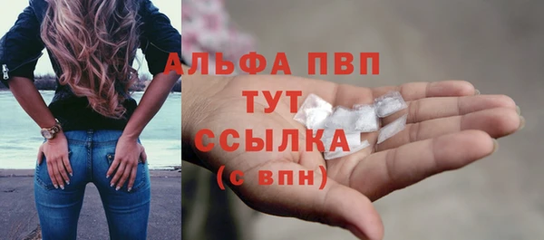 дмт Абаза